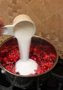 cranberrycrumble-1