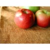 Support Smart Snacks in Schools—Your Feedback Is Important! | Meal Planning Magic outlines details and includes tons of links for school wellness resources