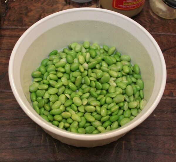 Steamed edamame--love the bright green goodness!