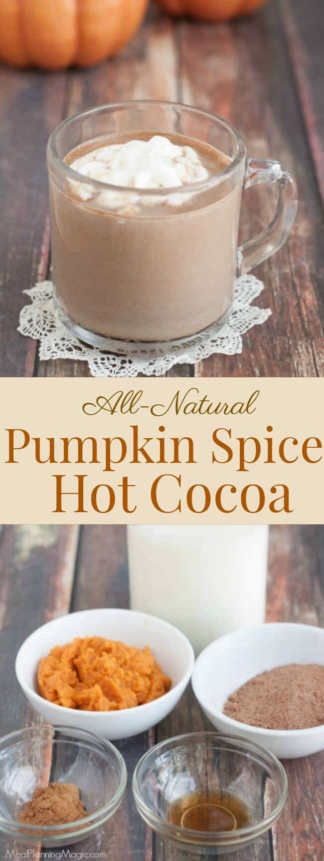 Capture the taste of fall with pumpkin and chocolate in this simple and delicious Pumpkin Spice Hot Cocoa recipe. Makes enough to share--if you're willing to!