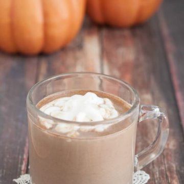 Pumpkin Spice Hot Cocoa topped with whip cream in a mug with pumpkins in background