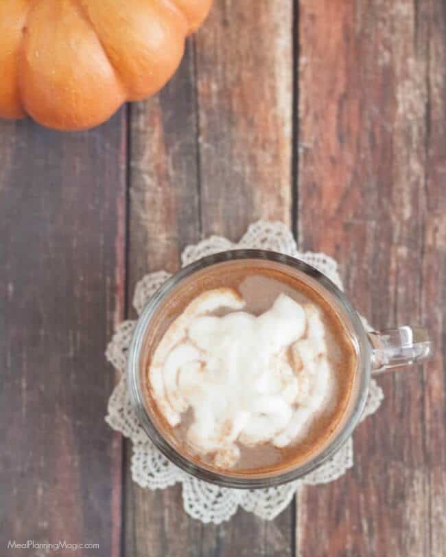 Capture the taste of fall with pumpkin and chocolate in this simple and delicious Pumpkin Spice Hot Cocoa recipe. Makes enough to share--if you're willing to!