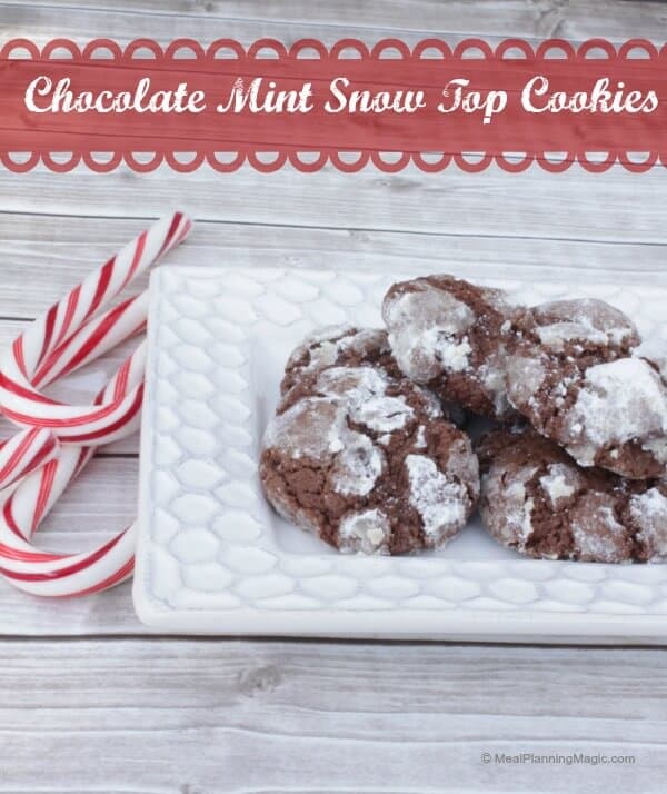 Chocolate Mint Snow Top Cookies  | Recipe at www.mealplanningmagic.com