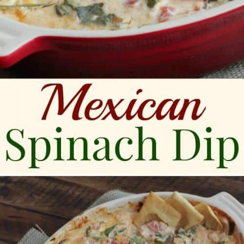 Mexican Spinach Dip