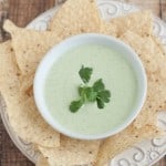 Top view of Creamy Jalapeno Ranch Dip in a bowl with cilantro on top surrounded by tortilla chips
