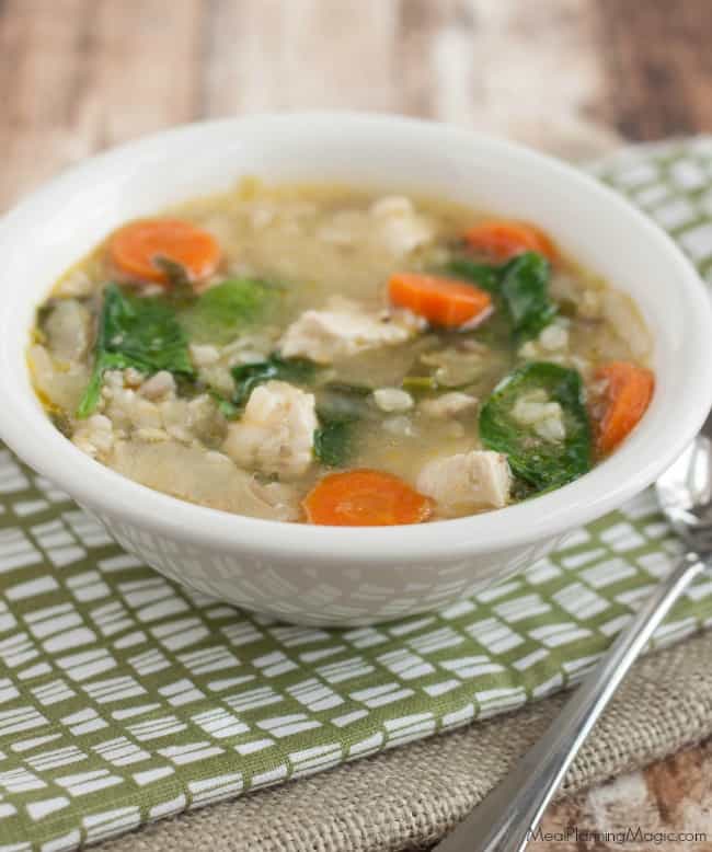 Roasted Vegetable and Chicken Soup