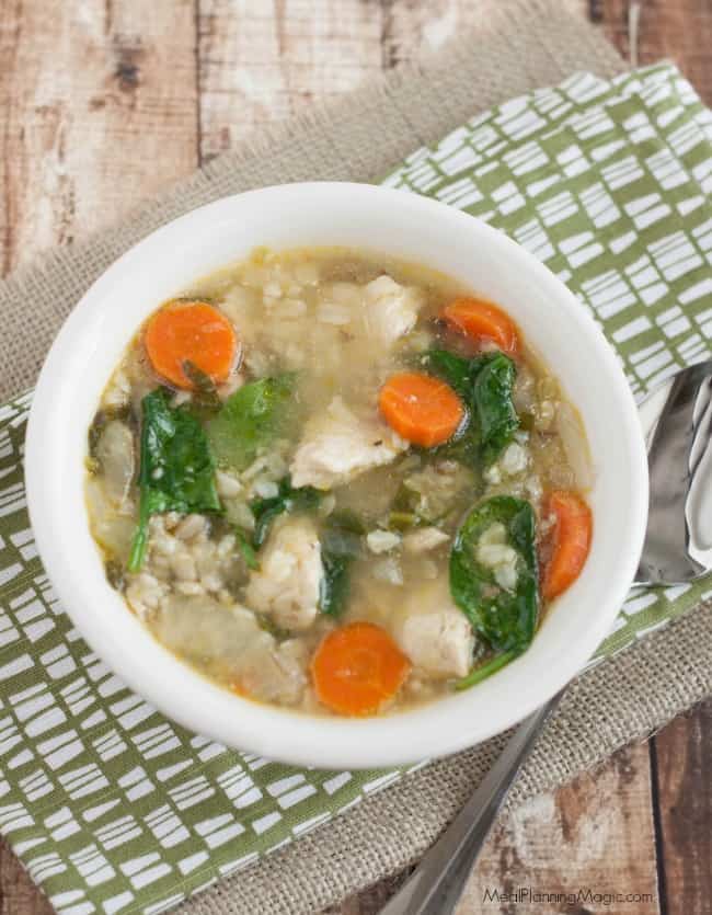 roasted veggie and chicken and rice soup-top view-resized