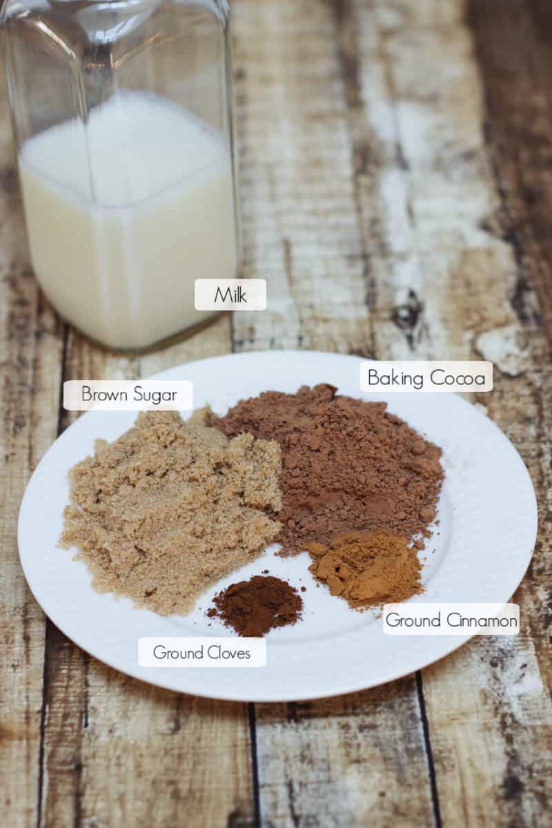 Warm Oatmeal Cookie Hot Cocoa