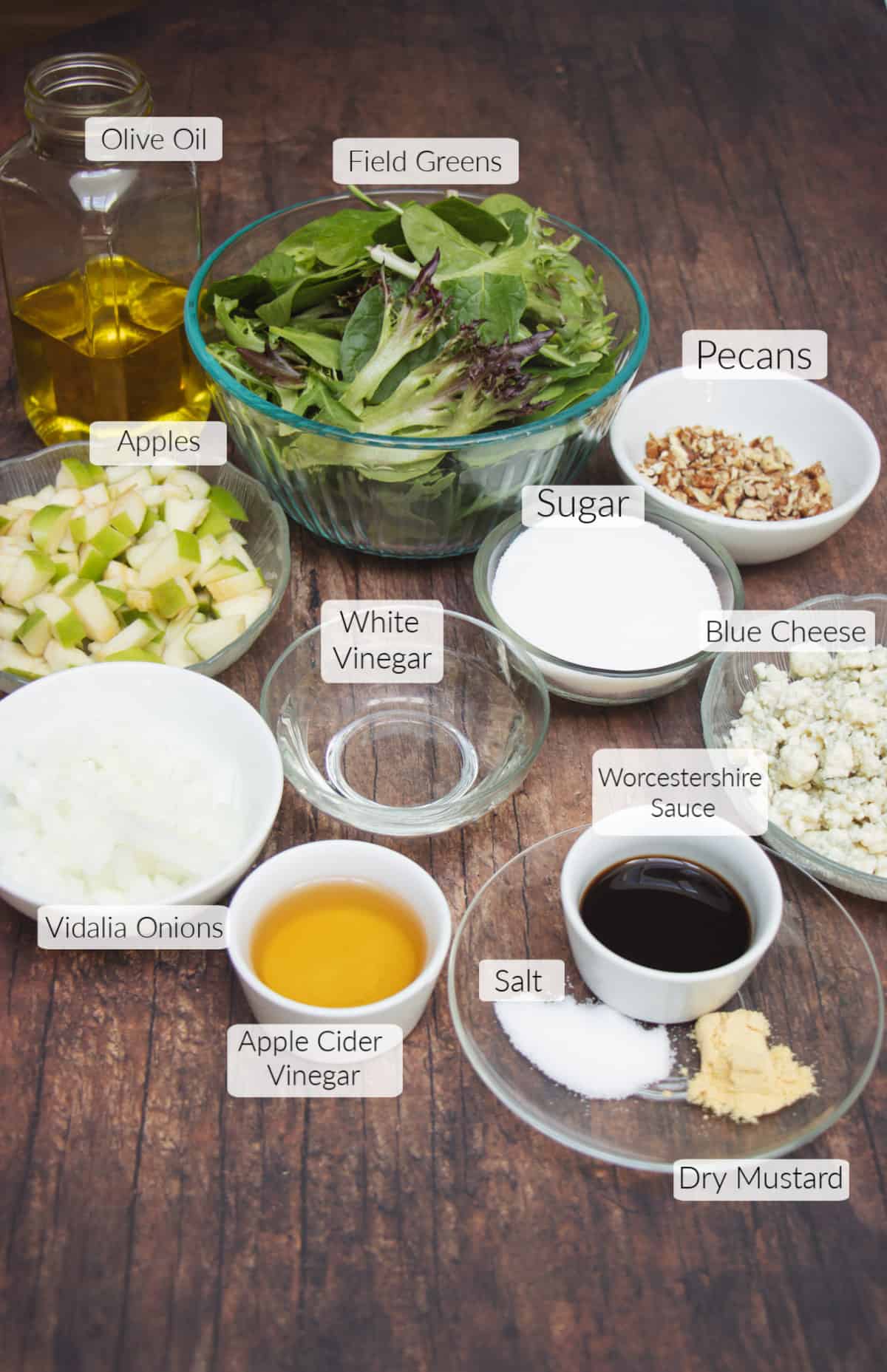 Ingredients in bowls with labels for making Field Greens Salad with Vidalia Onion Dressing, Blue Cheese, Apples and Toasted Pecans