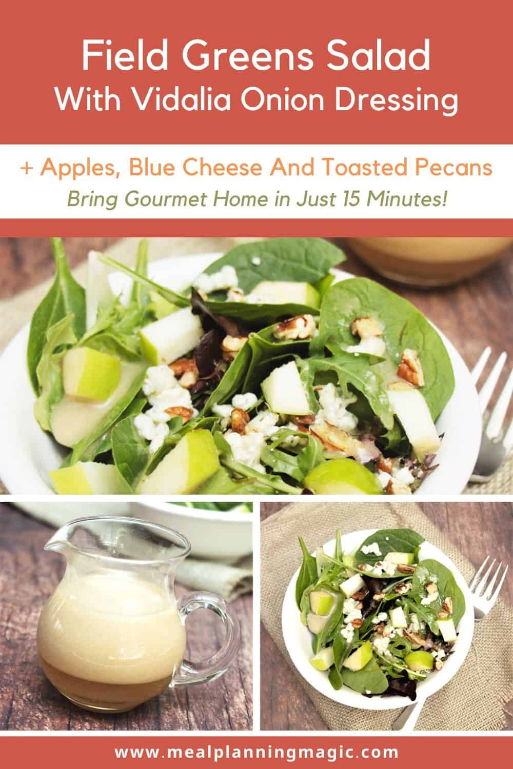Field Greens Salad with Vidalia Onion Dressing, Apples, Blue Cheese and