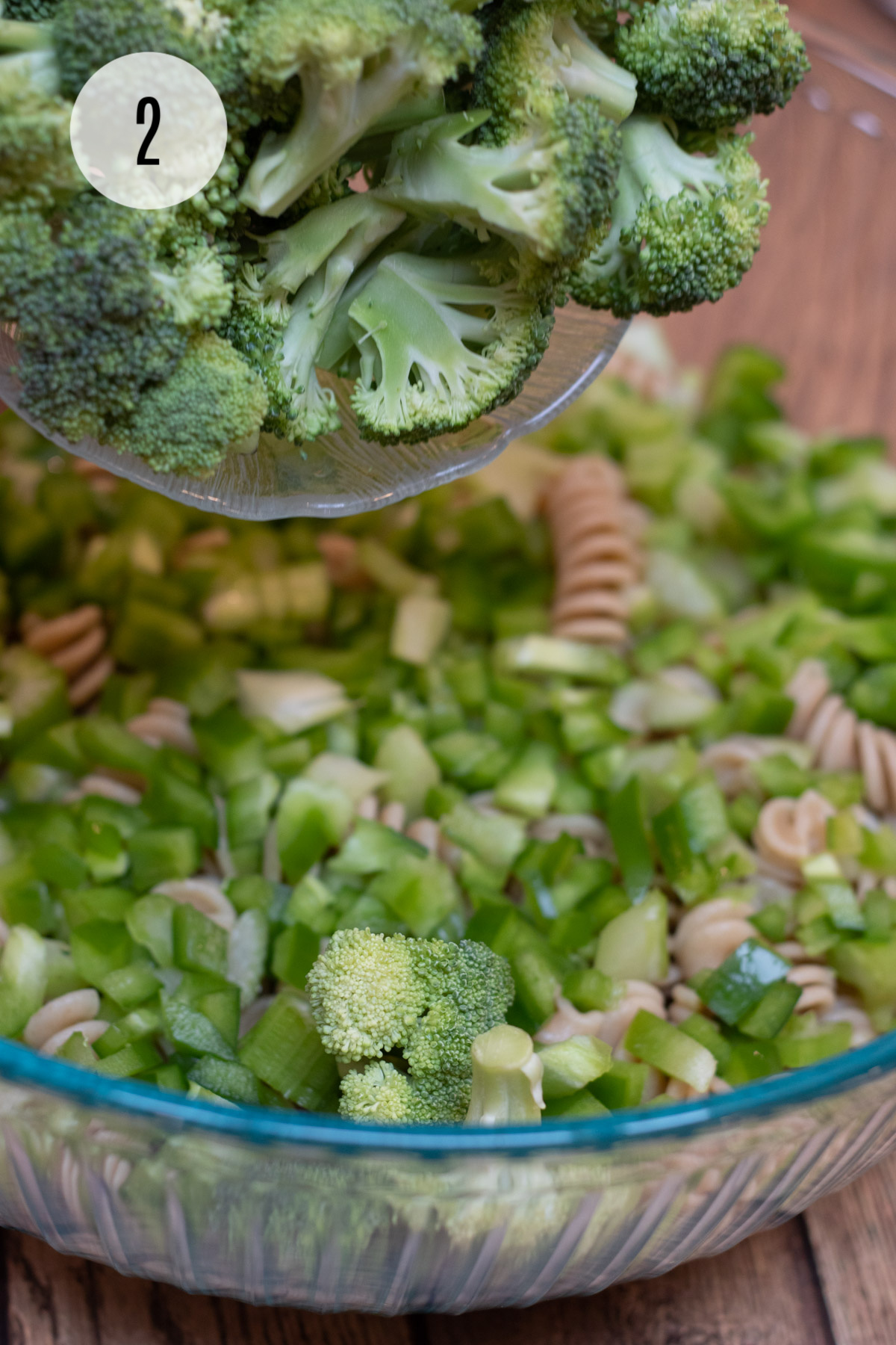 Small bowl of chopped broccoli being added to larger bowl with broccoli ham pasta salad ingredients including green bell pepper.  