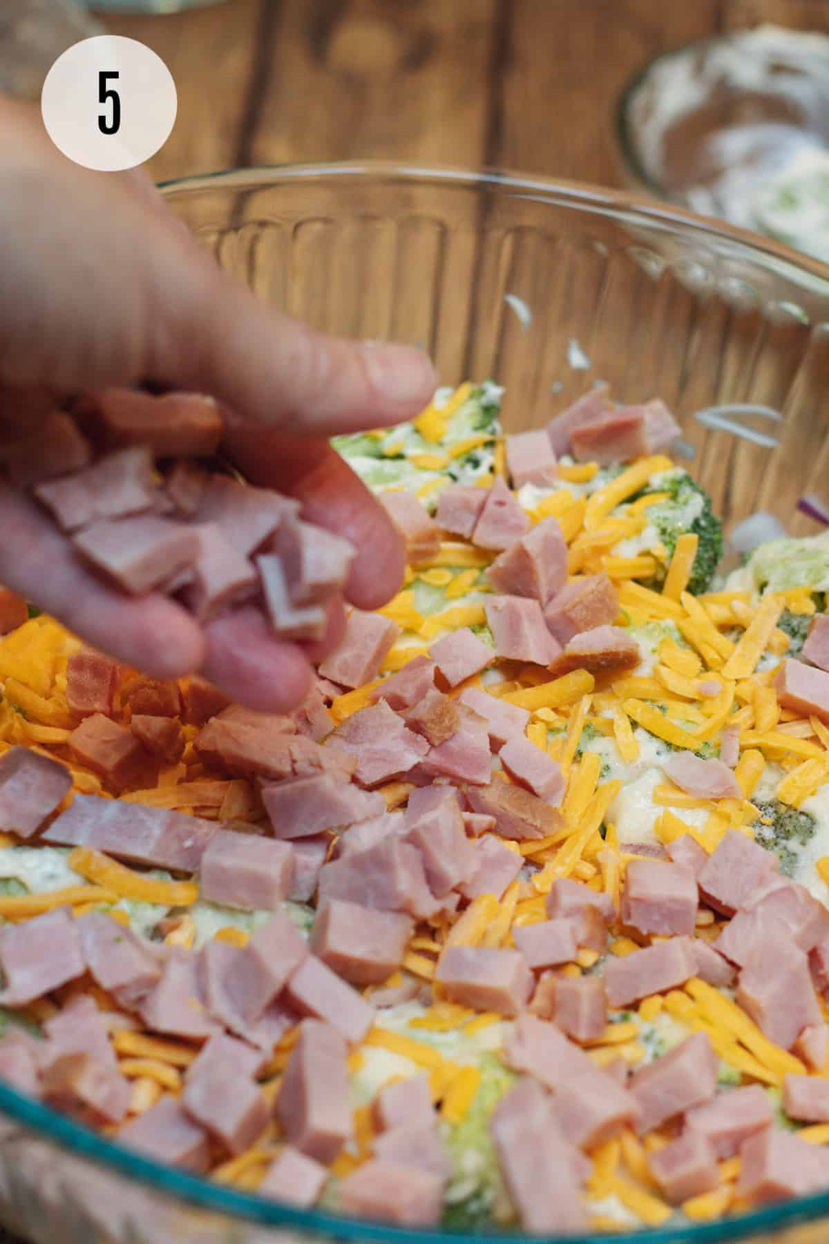 Hand sprinkling ham on top of shredded cheese and ingredients for broccoli ham and cheese pasta salad in a clear bowl. 