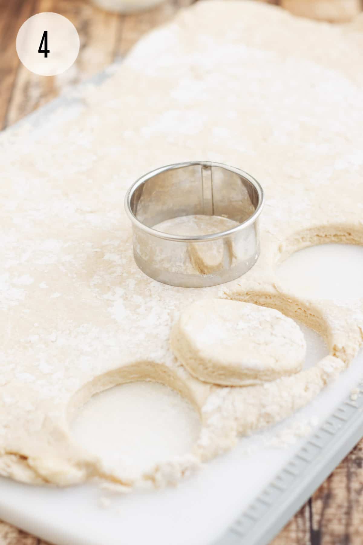 Rolled out biscuit dough with round silver cutter and some pieces already cut out of dough.