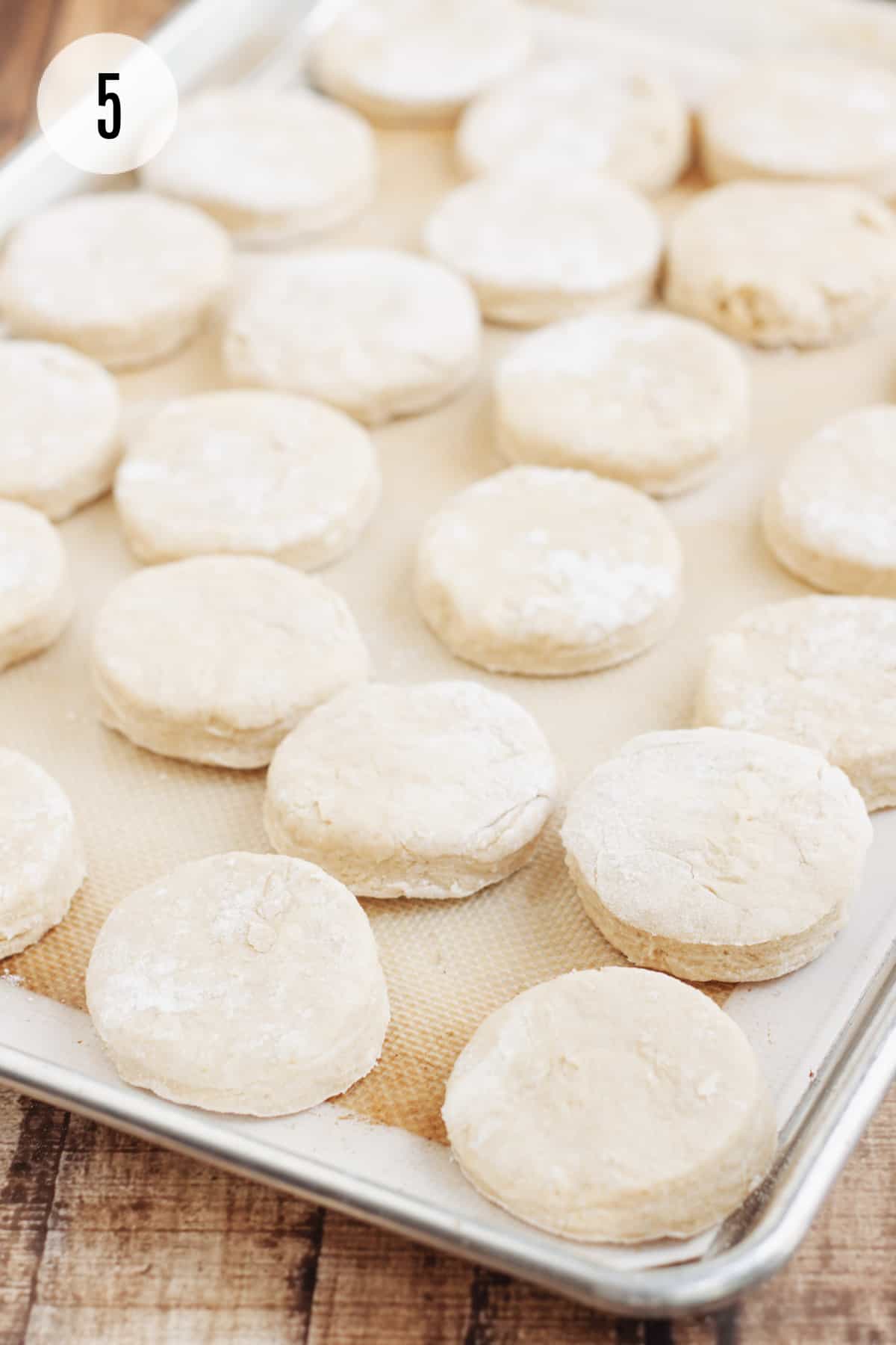 Lined baking sheet with rounds of buttermilk biscuit dough ready to be baked. 