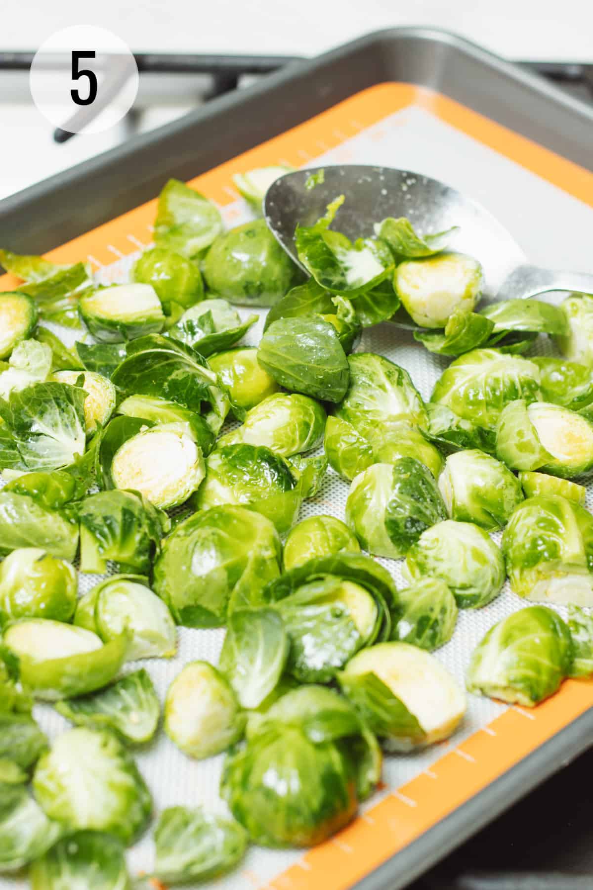 Cut halves of fresh Brussels sprouts spread out on a baking sheet with silver spoon at top of sheet. 