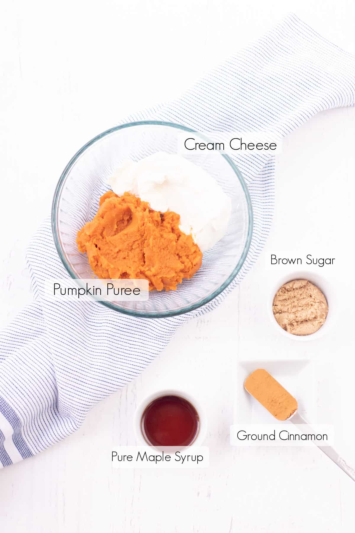 Labeled ingredients to make pumpkin cheesecake dip.