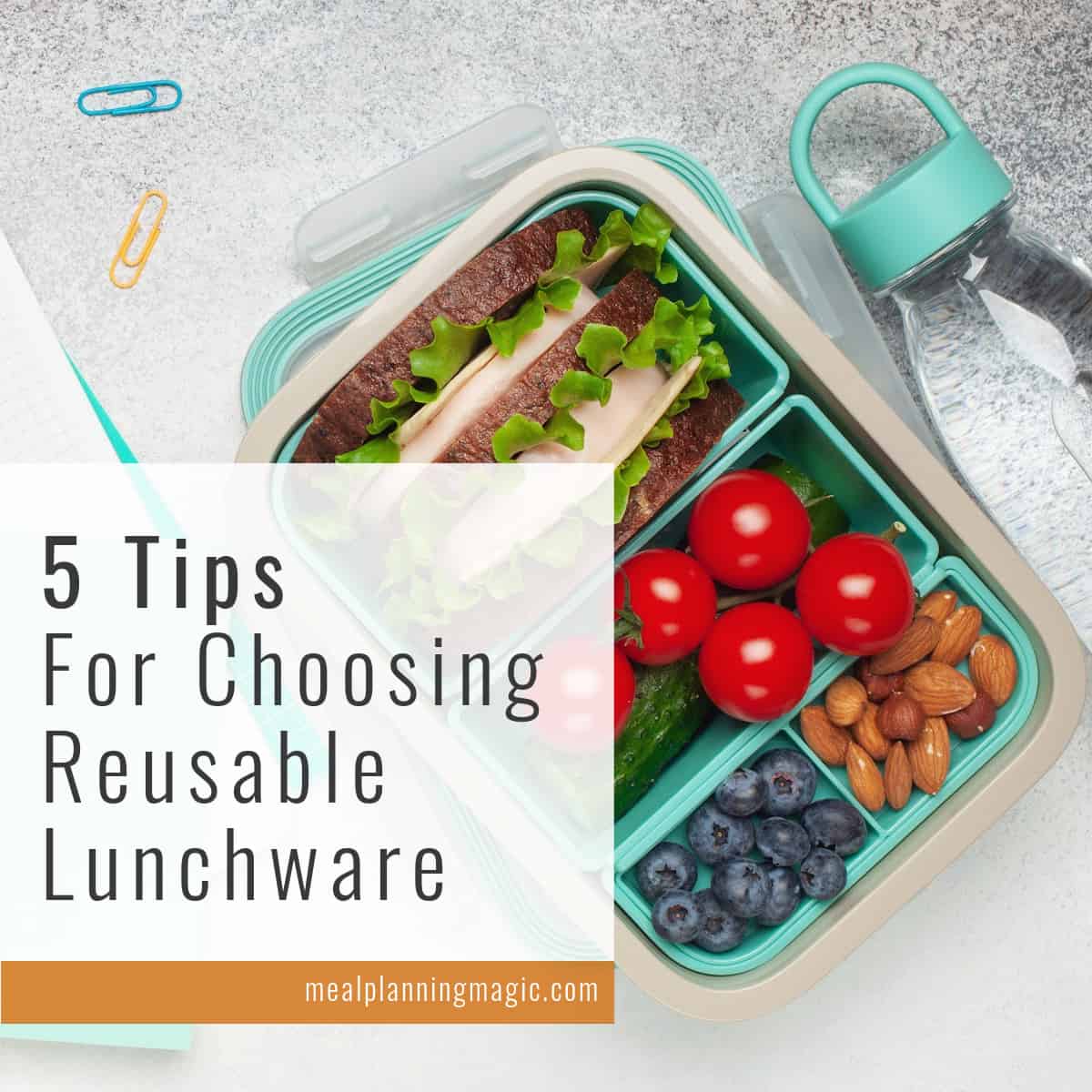 5 Tips for Choosing Reusable Food Containers Meal Planning Magic