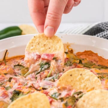 cropped-mexican-spinach-dip-finger-with-chip-V.jpg